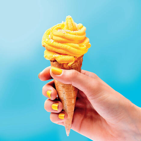 Tupperware FusionMaster Sorbet Maker Insats 