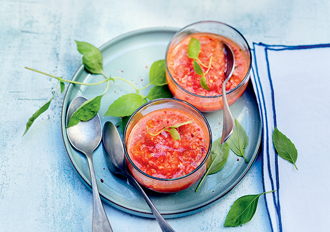 Tupperware Gazpacho 